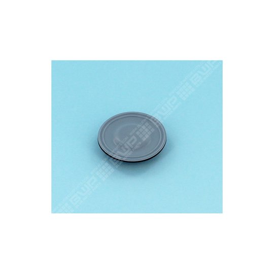 Membrane PTFE pour ECOPlus 15 L/h et 23 L/h