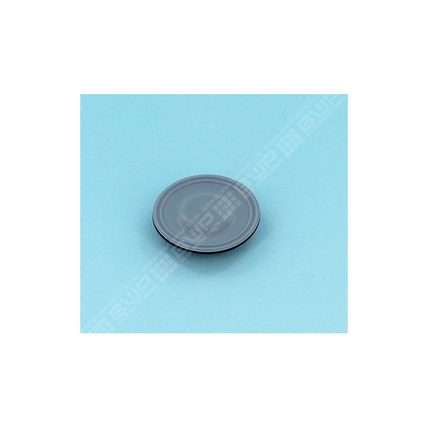 Membrane PTFE pour ECOPlus 15 L/h et 23 L/h