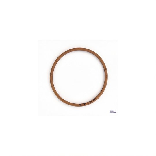 Joint de couvercle Ø150 mm pour FILTRE SAB Jupiter, Galatic et Titan 6" - 101D010