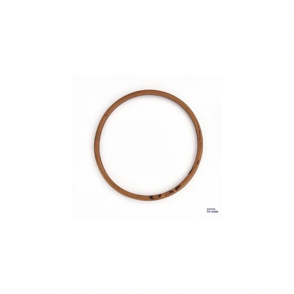 Joint de couvercle Ø150 mm pour FILTRE SAB Jupiter, Galatic et Titan 6" - 101D010