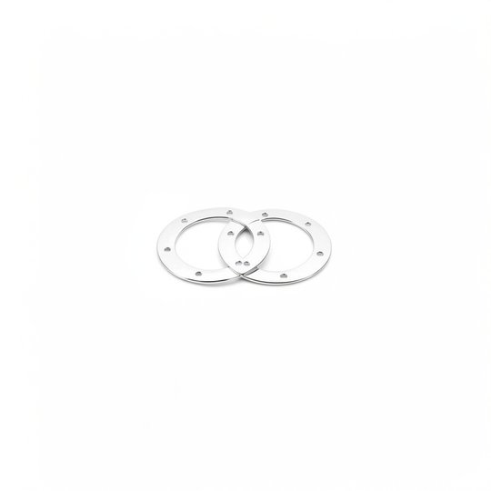 Joints de bride BR 15839-2" & BDF - Inox