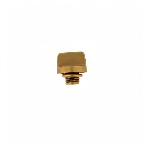 Bouchon + joint de vidange PPE 5JWP/5P2R/S5P2R/5P4R/SW5P4R (x2)