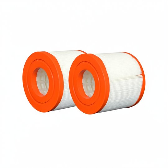 Cartouche Waterway Skim Filter 10