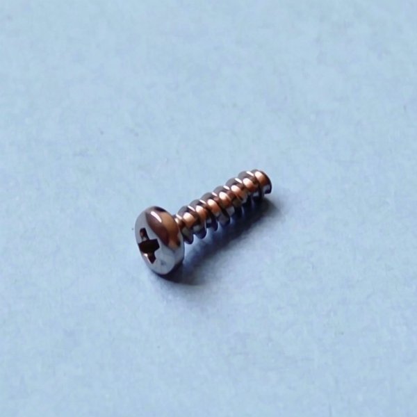 Vis TC 3x12 inox pour PPE Micro pH/Rx NM