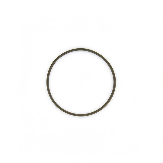 Joint de couvercle FILTRE SAB Jupiter - 8" - 101D013