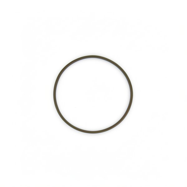 Joint de couvercle FILTRE SAB Jupiter - 8" - 101D013