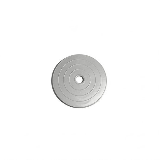 Couvercle skimmer AR100