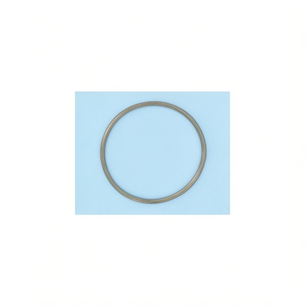 Joint de couvercle préfiltre 142,3x6,69 mm pour PPE 5JWP, 5P2R, S5P2R