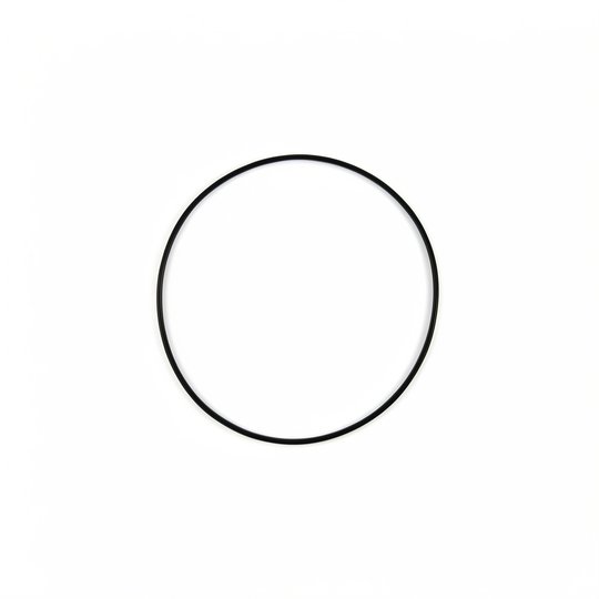 O-Ring 261 - joint de flasque Executive