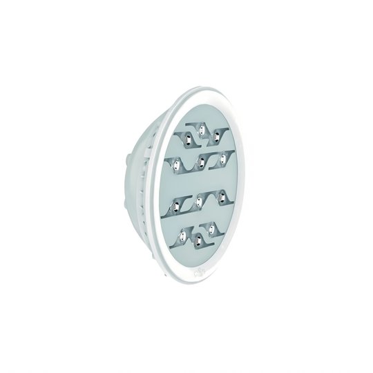 Ampoule PAR56 Diamond Power 12 LED Blanc 2600 lumens 36W