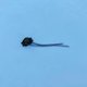 Klixon PPE Silen 100M 150M, Tifon1 100/150/200M, Blaumar 100-24M/150-29M