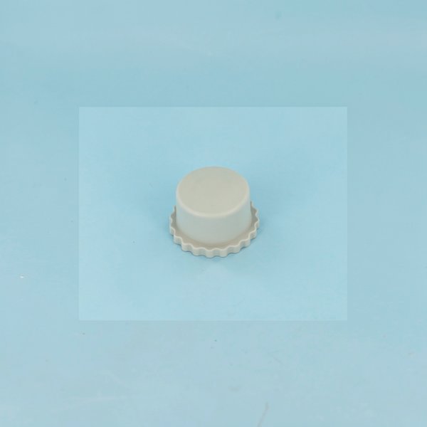 Bouchon de valve de régulateur Sand Shark