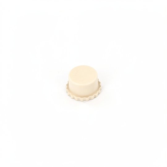 Bouchon de valve de régulateur Sand Shark