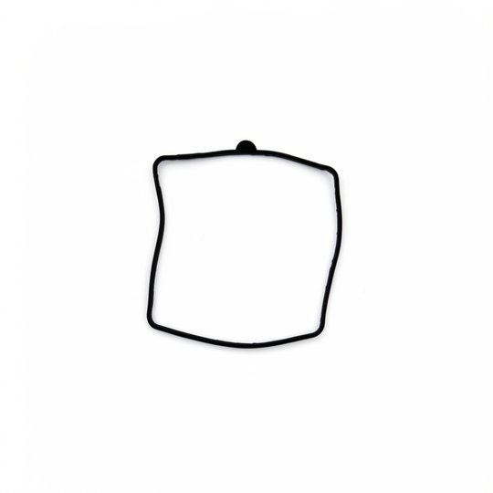 Joints de couvercle PPE ND (x10)
