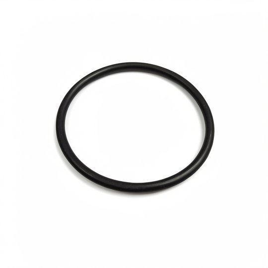 Joint de diffuseur PPE Viron P300, P230, P600 (joint de raccord pour P300, P600)