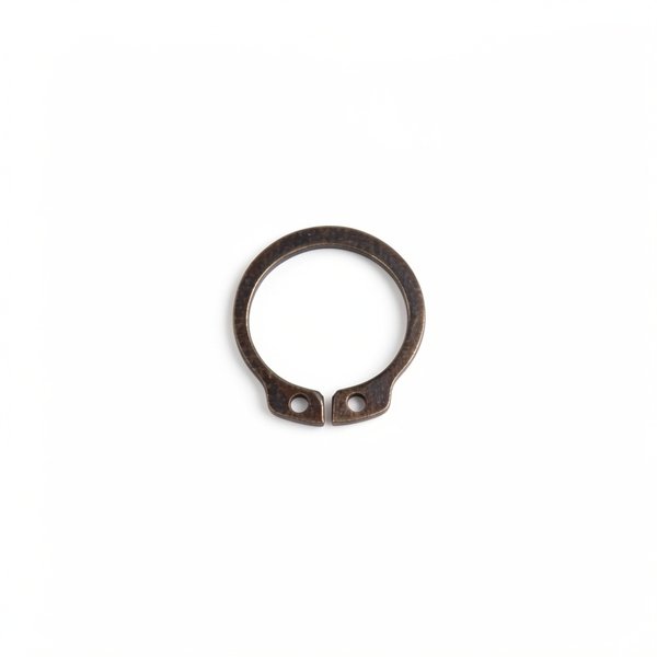 Bague anti-humidité arrière rotor PPE Astral Glass