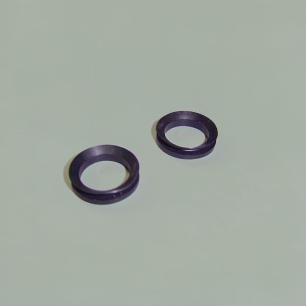 Joint V-Rings Va 2,5 - 3 Hp mono (x2) pompe Swimflo HGS
