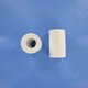 Brosses mousse (x2) pour Dolphin Dynamic