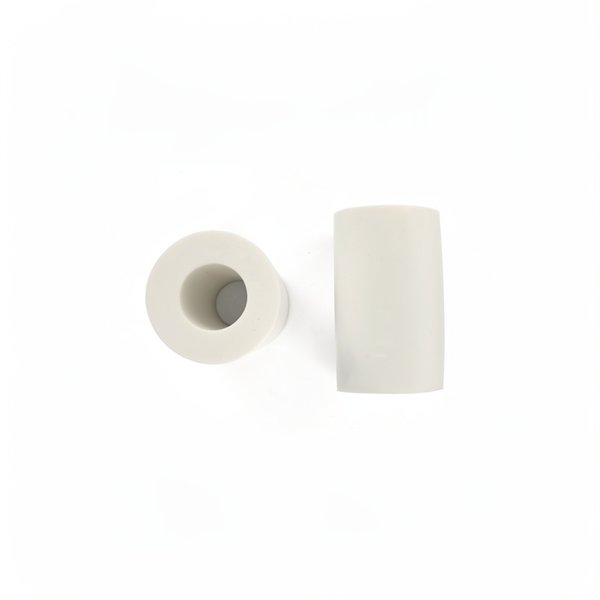 Brosses mousse (x2) pour Dolphin Dynamic