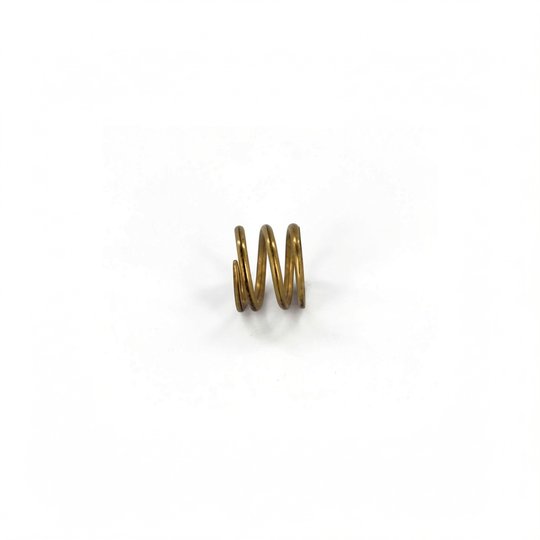Ressort de vanne (SM 10, SM 20) - 1"1/2 à 2"
