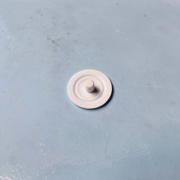 Membrane PTFE D54-M80
