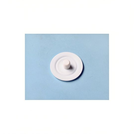 Membrane PTFE D54-M80