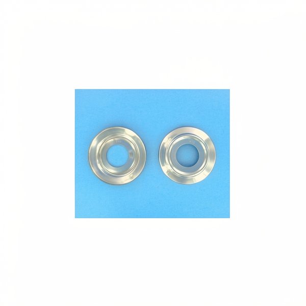Enjoliveurs (2 unités) Ø43/110 mm AISI 316 pour échelle STD, Mixte, droite, Handicapé, asymétrique