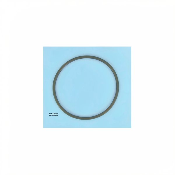 Joint couvercle Viton