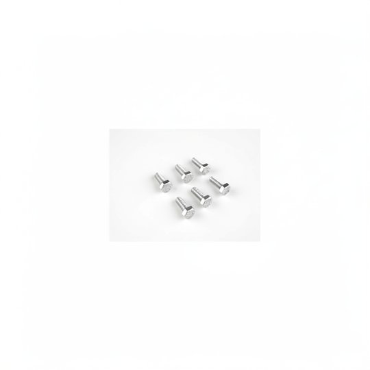 Vis BOR 16327/331 - Inox x6