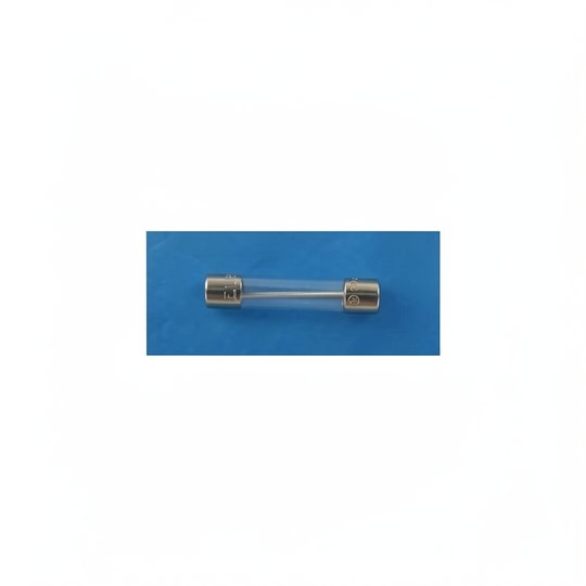 Fusible HC-200 (1,25 A) 21748 (temporisé)