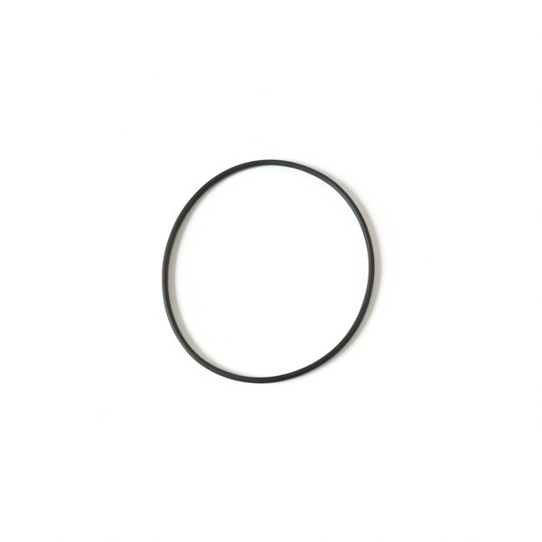 Joint de couvercle vanne SP0704