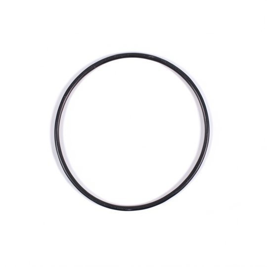 Joint torique de couvercle de préfiltre PPE Alaska Basic