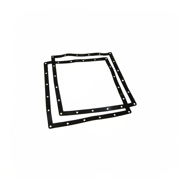 Joints de bride BDF Carrée - Inox (x2)
