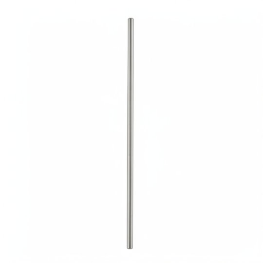Longue tige Inox (Gw 9500 Sta-Rite)