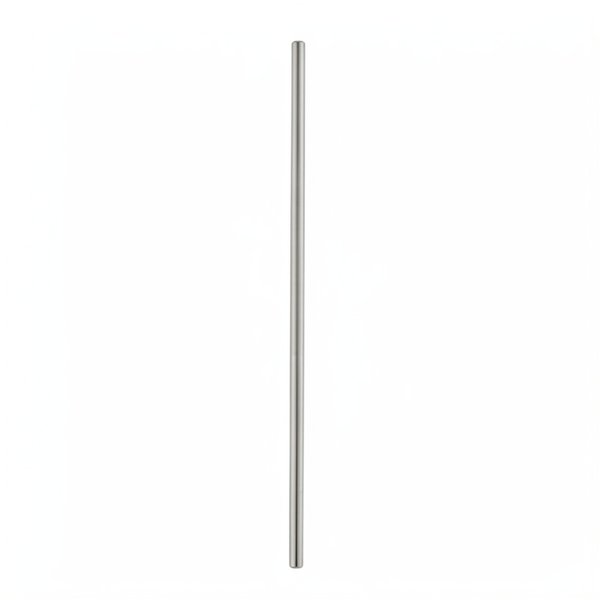 Longue tige Inox (Gw 9500 Sta-Rite)