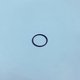 Joint torique 45,69x2,62 viton