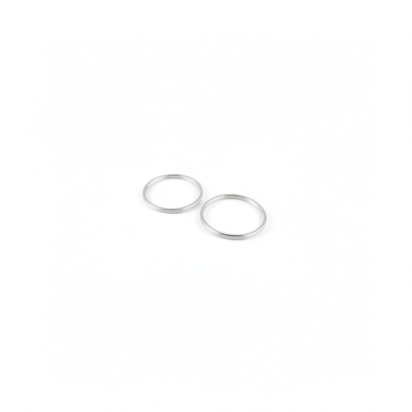 Bague de réglage PPE fonte 20-25 CV
