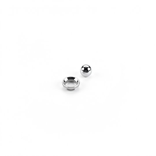 Rotule BOR 00310 - Inox