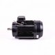 Moteur 5,5 CV Tri pour PPE Maxim, Shark
