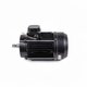 Moteur 5,5 CV Tri pour PPE Maxim, Shark