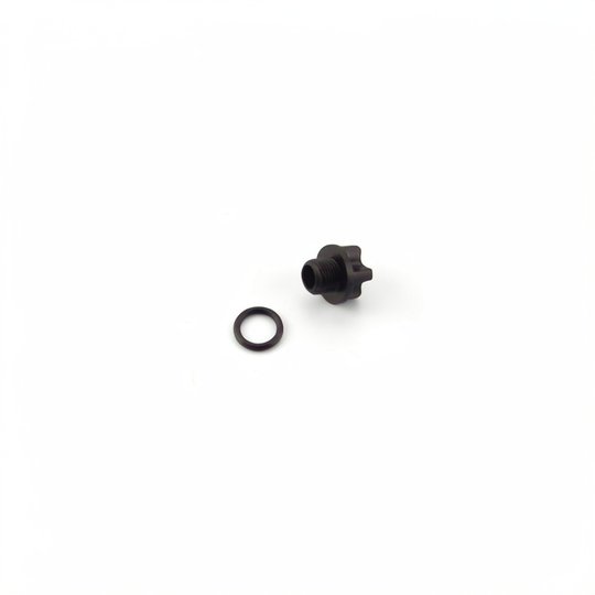 Bouchon de purge 1/4" + joint 13x2,5 mm