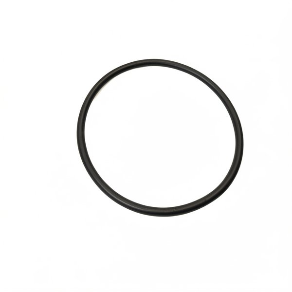 Joint torique de projecteur de buse d'aspiration 45055/43933