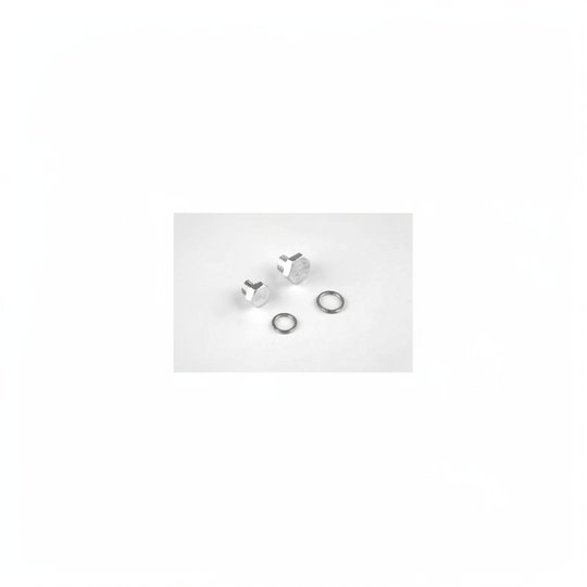 Bouchon de vidange PPE Fonte 3000 tr/mn - 5,5 CV, x2, avec joints