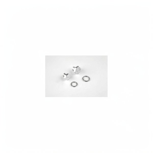 Bouchon de vidange PPE Fonte 3000 tr/mn - 5,5 CV, x2, avec joints