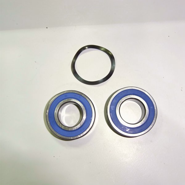 Roulements (x2) PPE Maxim 5,5 CV