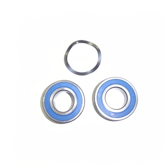 Roulements (x2) PPE Maxim 5,5 CV