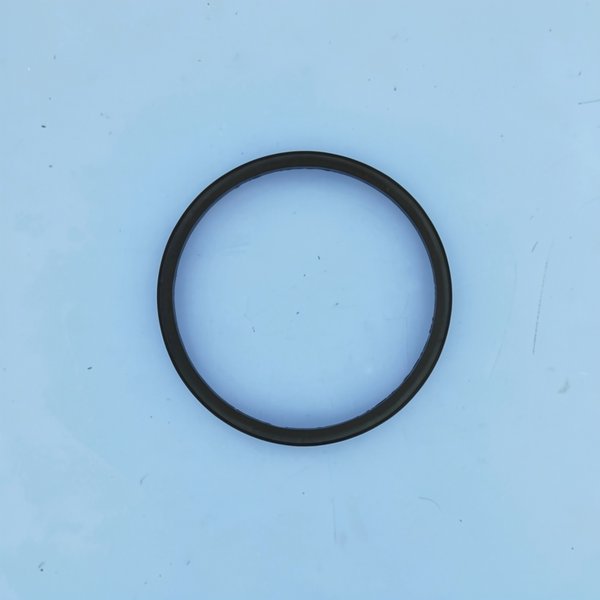 Joint Pré-Filtre WINNER