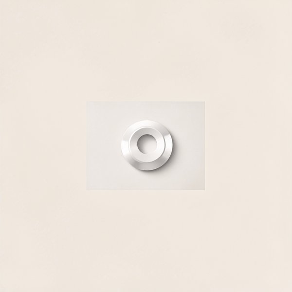 Rondelle piston 25359