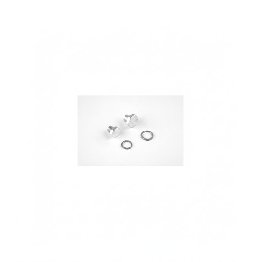 Bouchon de vidange PPE Fonte 3000 tr/mn - 5,5 à 15 CV, x2, avec joints