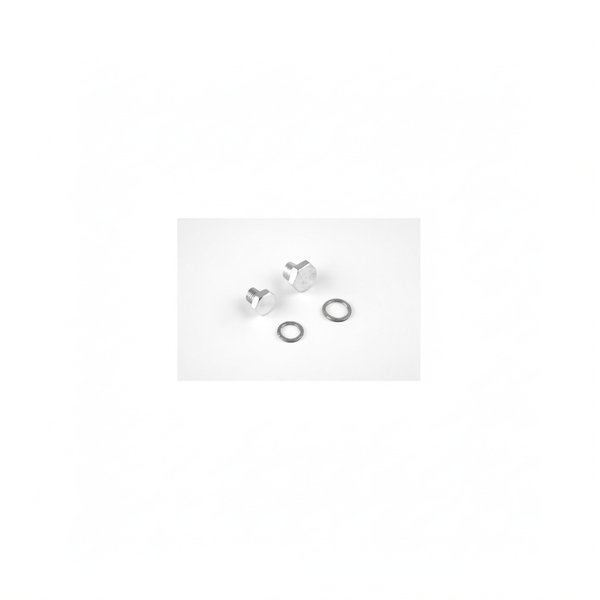 Bouchon de vidange PPE Fonte 3000 tr/mn - 5,5 à 15 CV, x2, avec joints